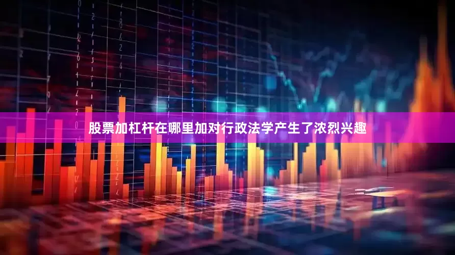股票加杠杆在哪里加对行政法学产生了浓烈兴趣