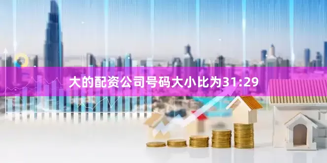 大的配资公司号码大小比为31:29