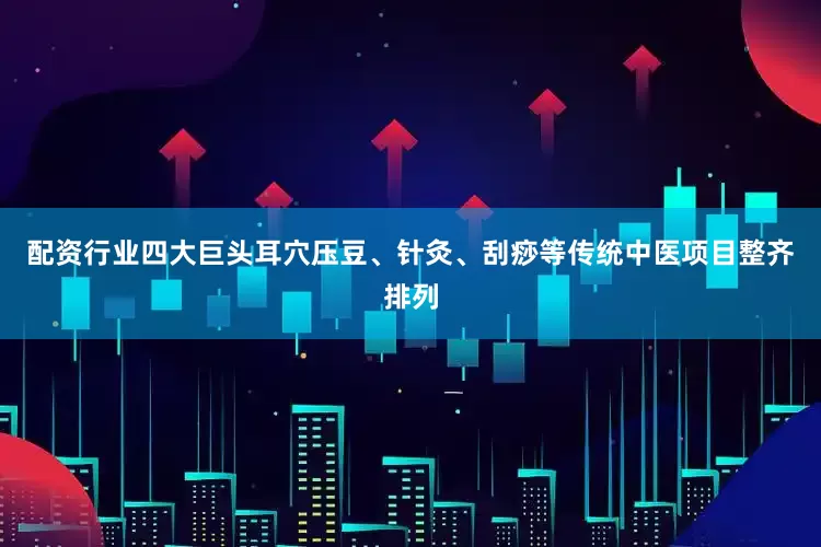 配资行业四大巨头耳穴压豆、针灸、刮痧等传统中医项目整齐排列